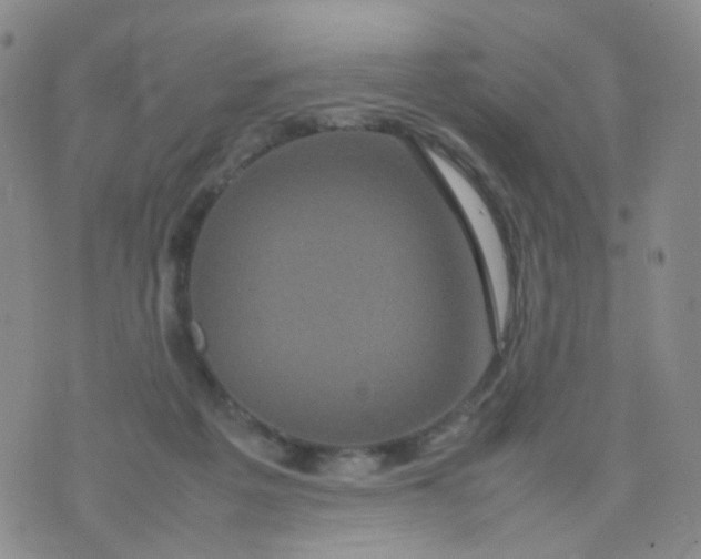 X0000074290217200609151925