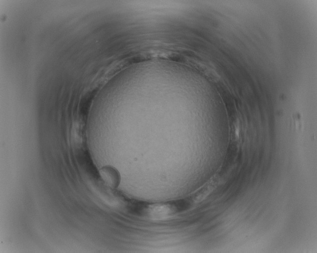 X0000074290218200609151925