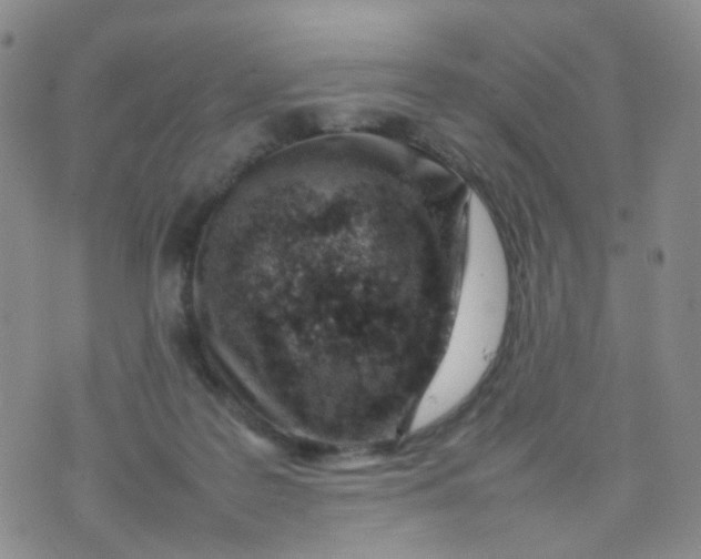 X0000074290219200609151925