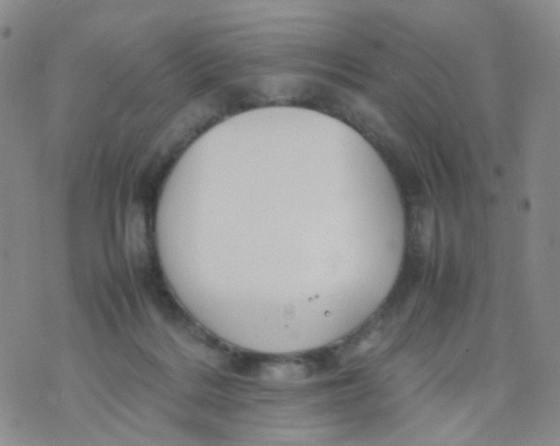 X0000074290220200609151925