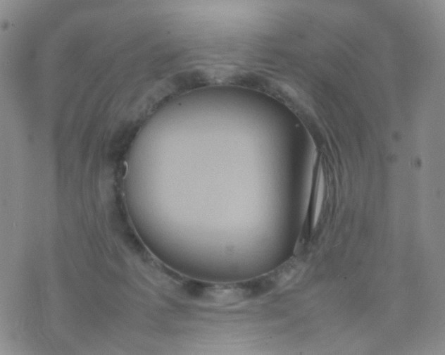 X0000074290221200609151925