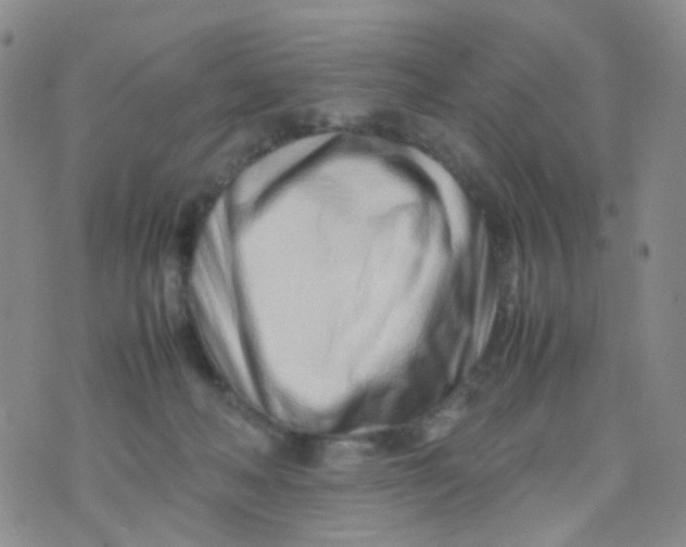 X0000074290222200609151925