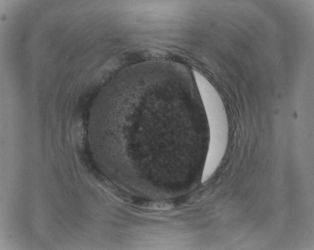 X0000074290223200609151925