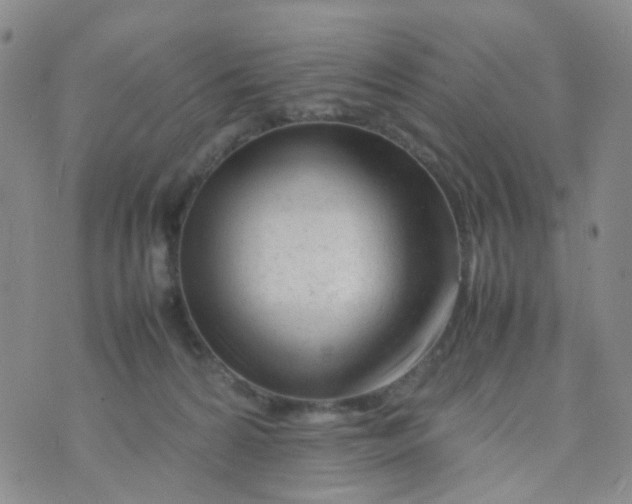 X0000074290224200609151925