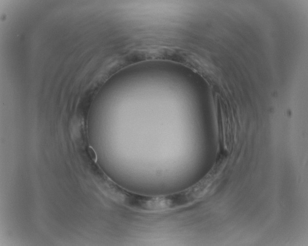 X0000074290225200609151925