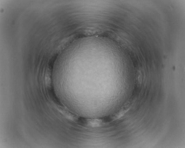 X0000074290226200609151925