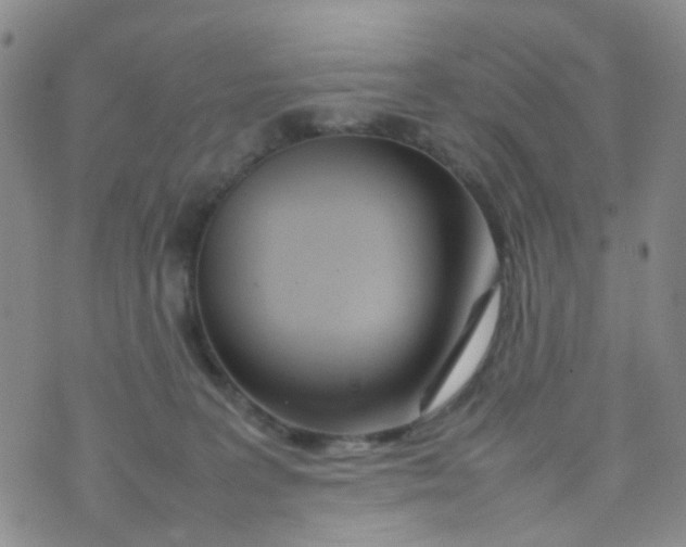 X0000074290227200609151925