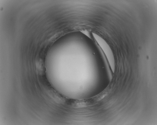 X0000074290228200609151925