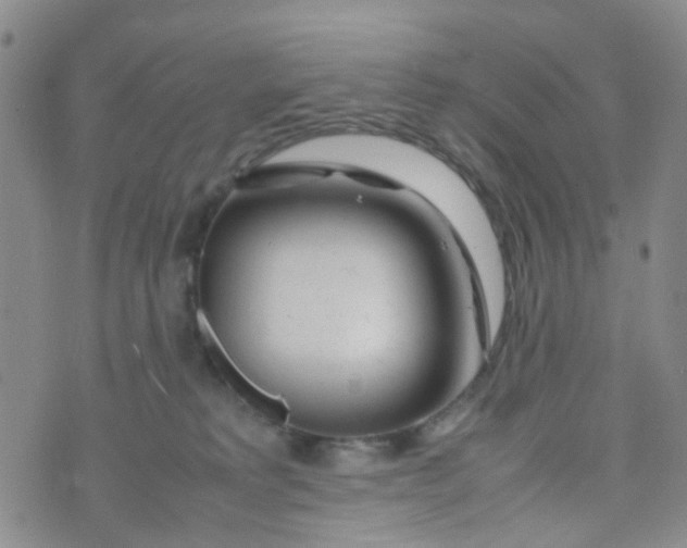 X0000074290229200609151925