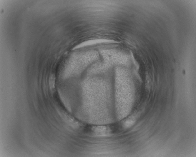 X0000074290230200609151925