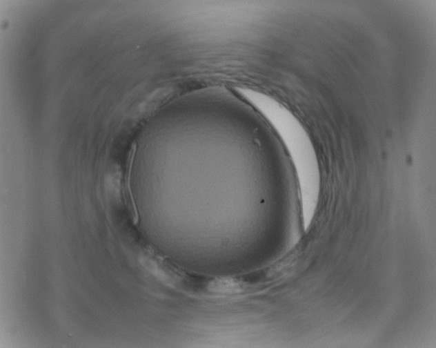 X0000074290231200609151925