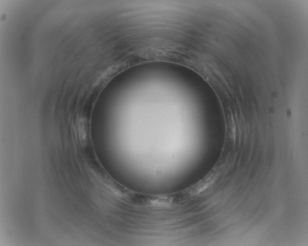 X0000074290232200609151925