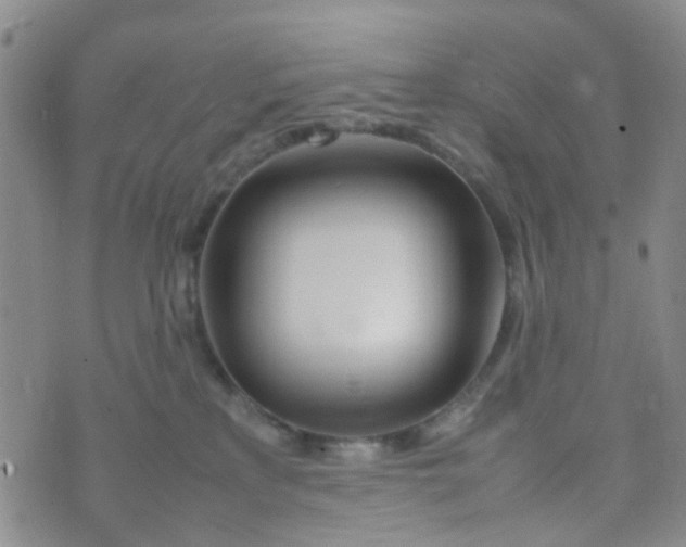 X0000074290233200609151925