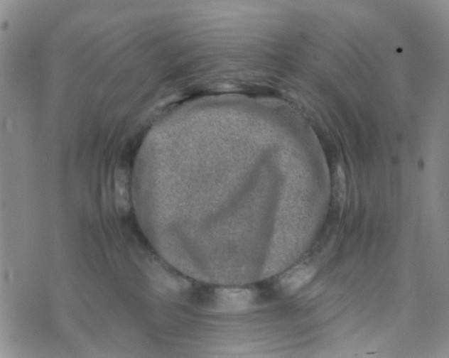 X0000074290234200609151925