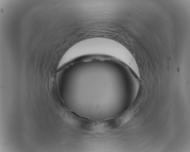 X0000074290235200609151925