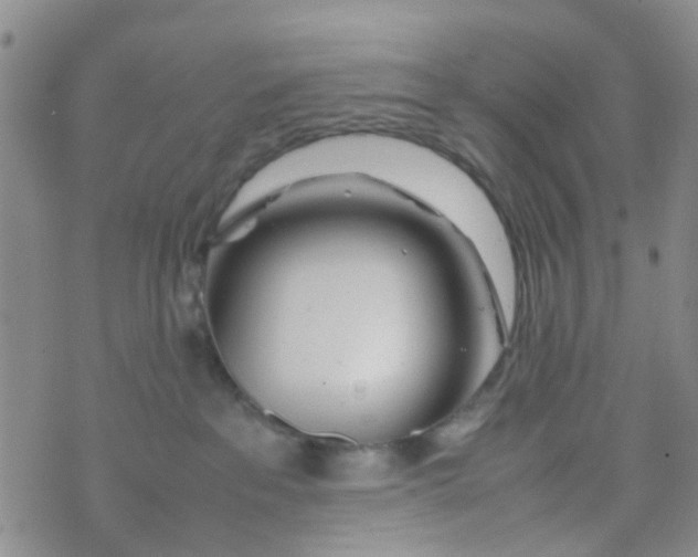 X0000074290237200609151925