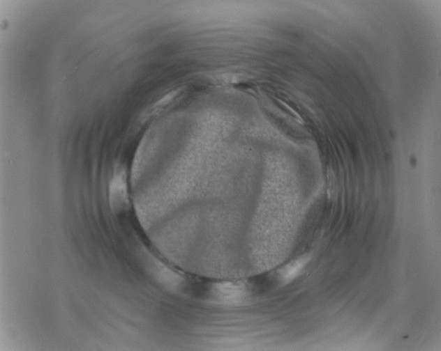 X0000074290238200609151925