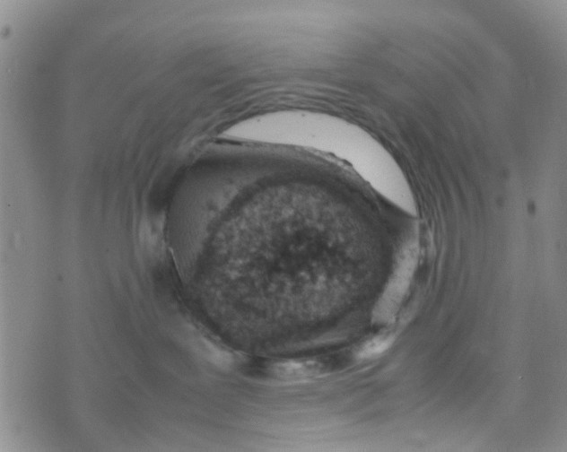 X0000074290239200609151925