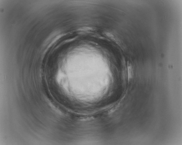 X0000074290243200609151924