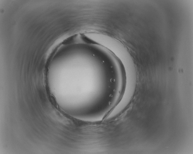 X0000074290244200609151924