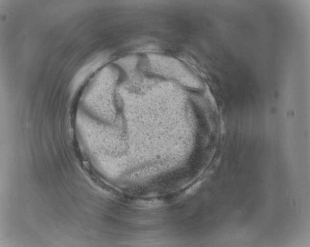 X0000074290245200609151924