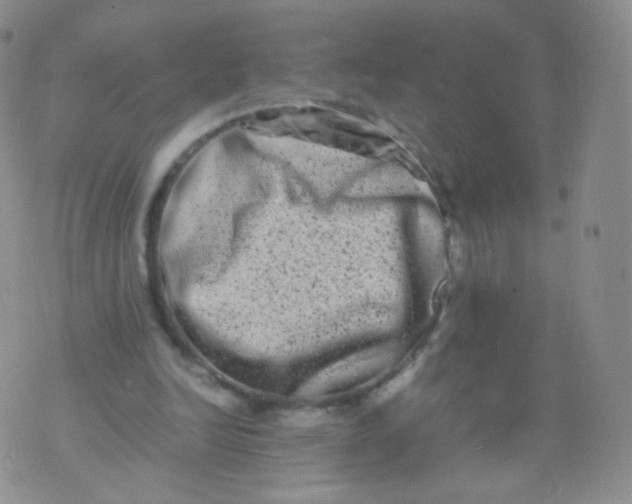 X0000074290246200609151924