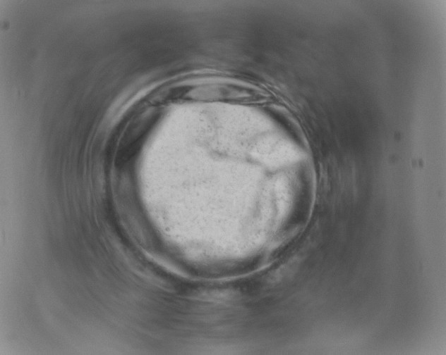 X0000074290247200609151924