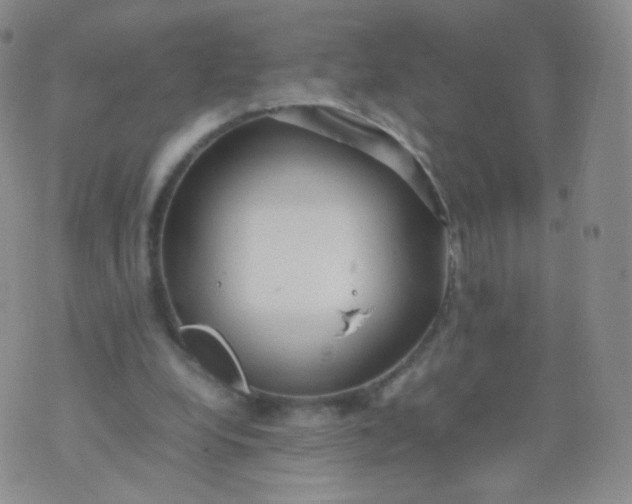 X0000074290248200609151924