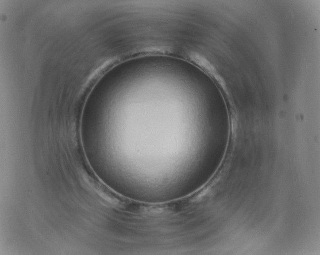 X0000074290249200609151924