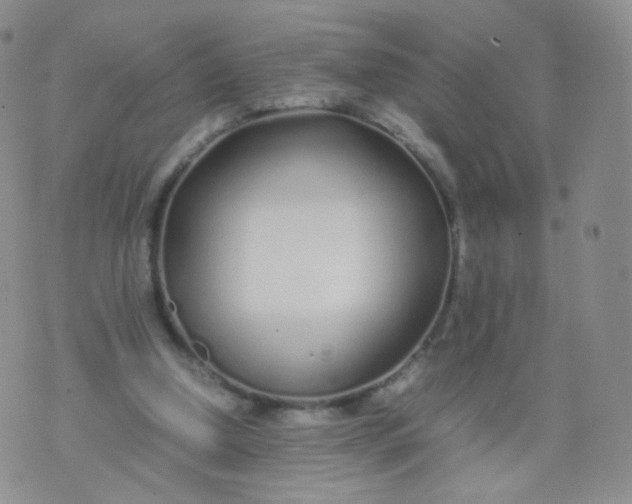 X0000074290250200609151924