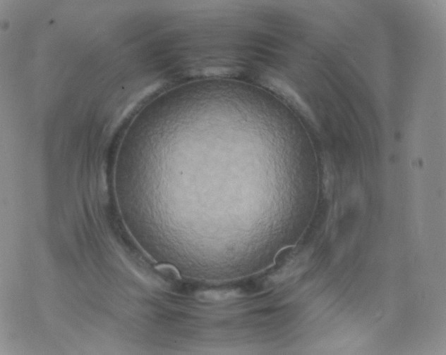 X0000074290251200609151924