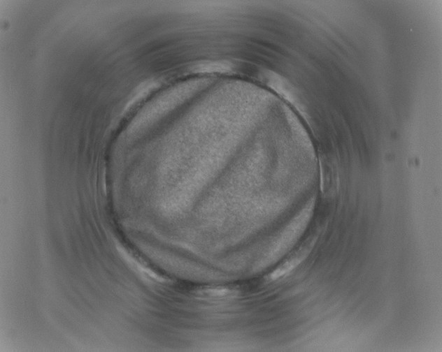 X0000074290253200609151924