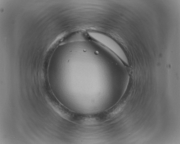 X0000074290256200609151924