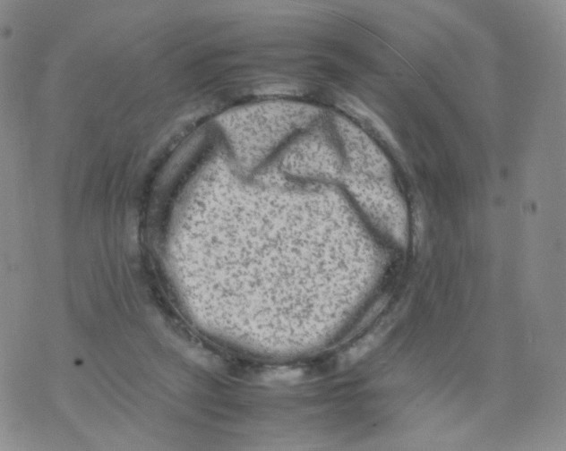 X0000074290257200609151924