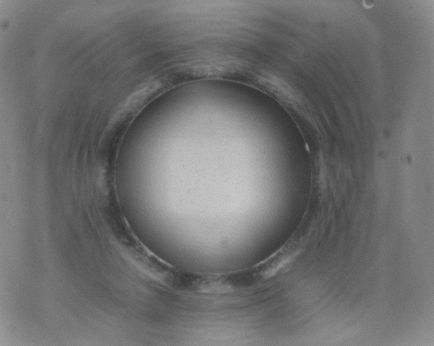 X0000074290258200609151924