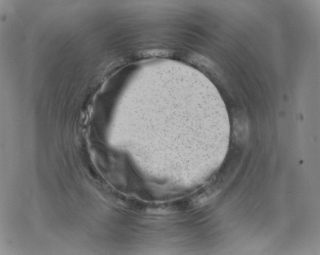 X0000074290259200609151924