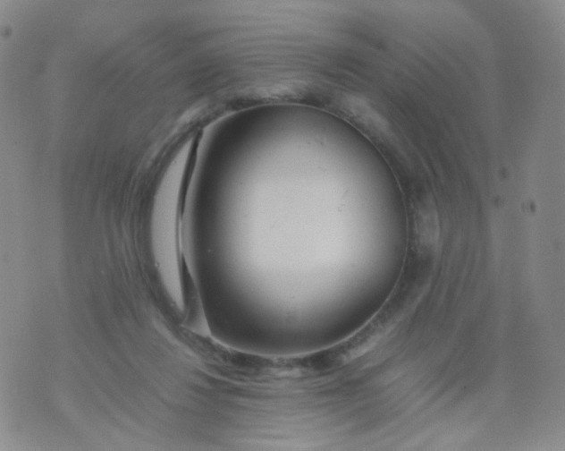 X0000074290260200609151924