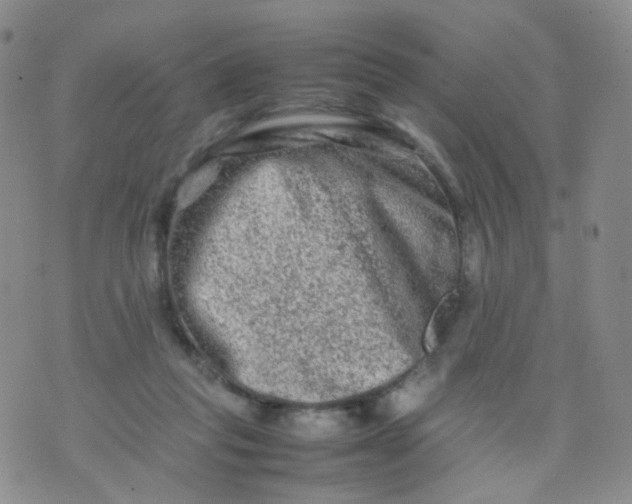 X0000074290261200609151924