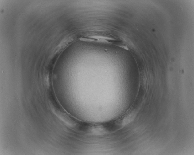 X0000074290262200609151924