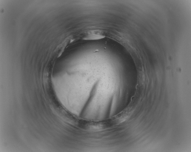 X0000074290263200609151924