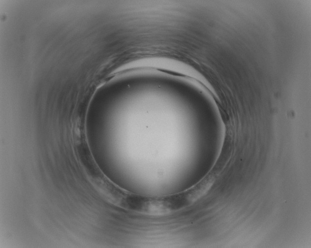 X0000074290264200609151924