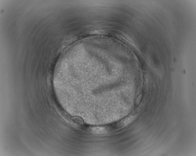 X0000074290265200609151924