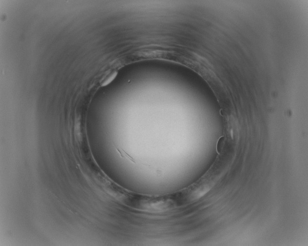 X0000074290267200609151924