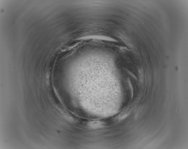 X0000074290269200609151924