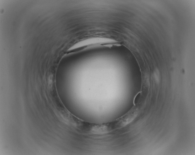 X0000074290271200609151924