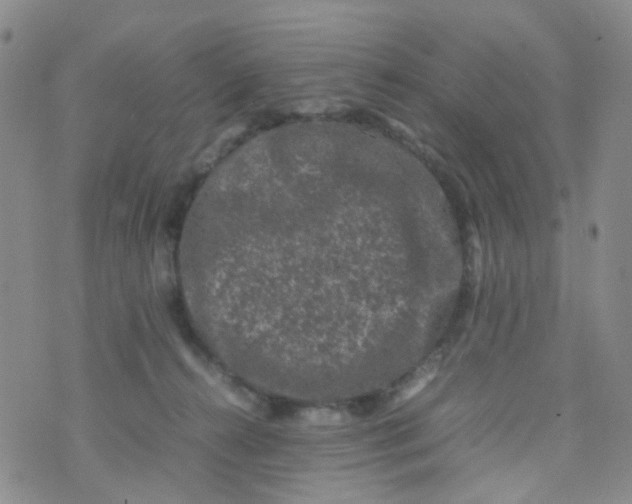 X0000074290272200609151924