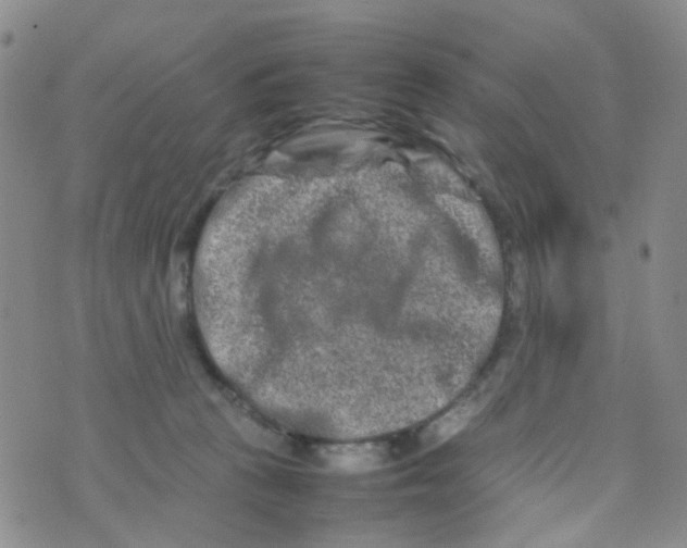 X0000074290273200609151924