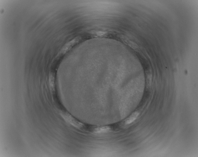 X0000074290274200609151924