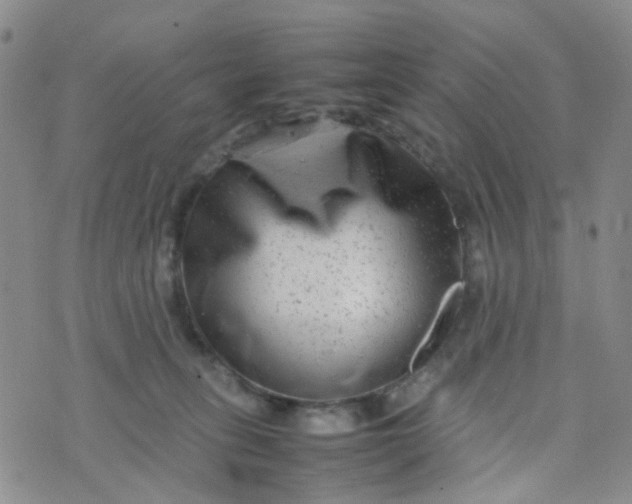 X0000074290275200609151924