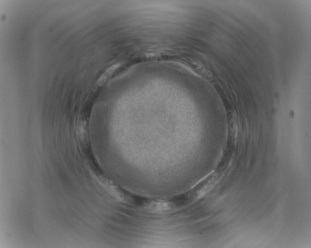 X0000074290276200609151924